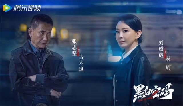 刑偵劇《黑白密碼》王子奇 蘇曉彤 再度攜手引期待