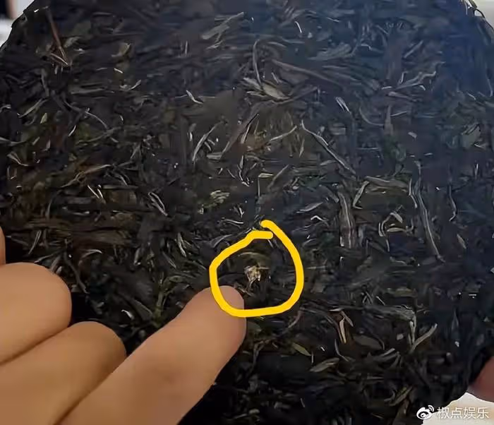 幹啥啥不行!李亞鵬參加鬥茶大賽被打0分,他終究活成了一個笑話