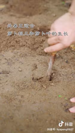 幹啥啥不行!李亞鵬參加鬥茶大賽被打0分,他終究活成了一個笑話