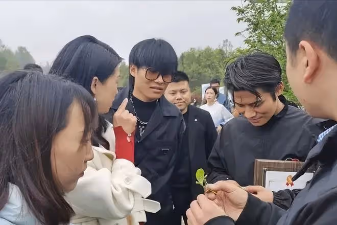 網紅「小楊哥」自曝遭大佬打壓!無奈直播求放過,向太成懷疑對象