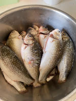 家庭版鐵鍋燜酥魚鯽魚