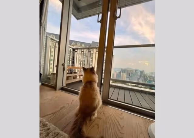 越發富貴！港女星入行十年已升級當女主，如今出入更住豪宅開靚車