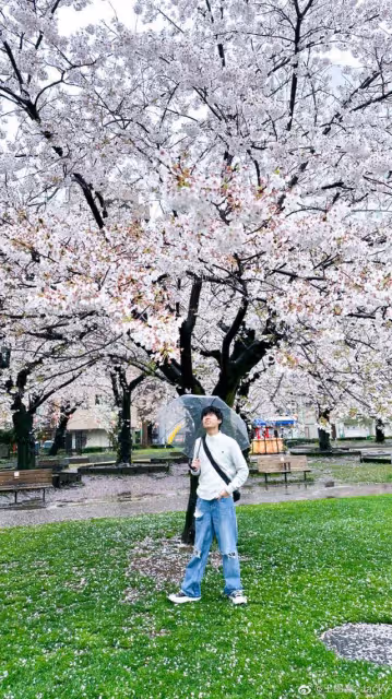 TVB知名童星近況曝光！被贊變日系花美男，不久前返港探親