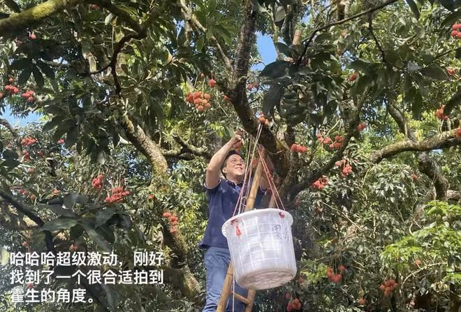 霍啟剛廣東爬樹摘荔枝,60歲港姐富婆鄺美雲罕露面,生圖美貌驚艷