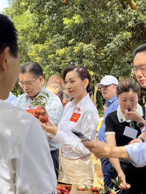 霍啟剛廣東爬樹摘荔枝,60歲港姐富婆鄺美雲罕露面,生圖美貌驚艷