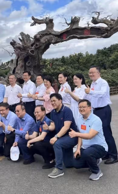 霍啟剛廣東爬樹摘荔枝,60歲港姐富婆鄺美雲罕露面,生圖美貌驚艷