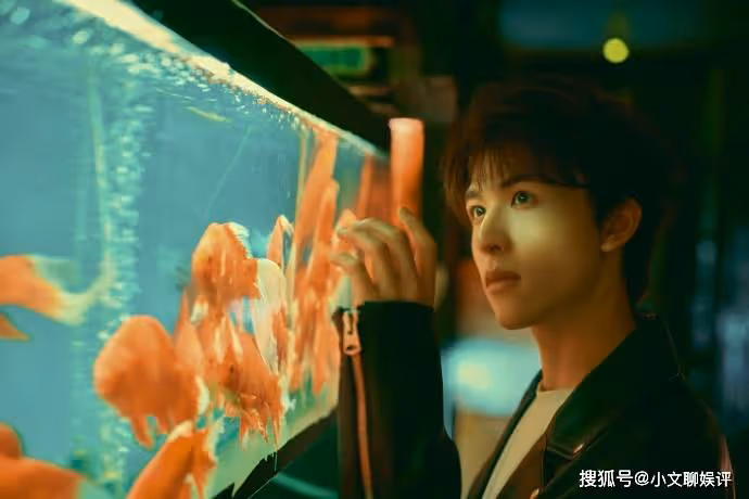 尹浩宇是哪國人?尹浩宇中文為什麼這麼好?在桃花塢走秀唱的歌是哪首?