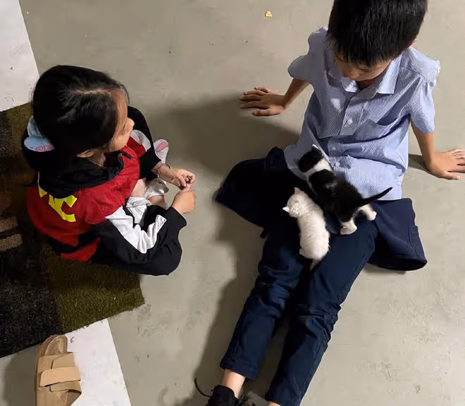 孫儷鄧超兒子近照,12歲等等和小夥伴打籃球,和爸爸一樣又高又帥