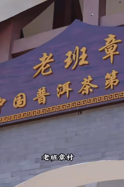 李亞鵬以1.8個億承包普洱茶第一村茶樹遭村民拒絕，生氣帶隊離場