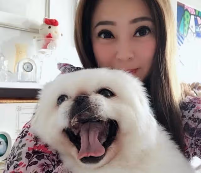近況曝光！TVB前女星明顯發福卻獲贊自然，兩度豪門夢碎今仍單身