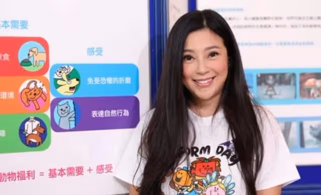 近況曝光！TVB前女星明顯發福卻獲贊自然，兩度豪門夢碎今仍單身