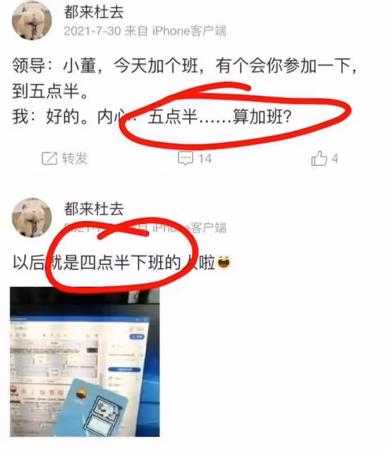 胡總情人問題很嚴重,各種違規情況被曝光,幾大疑點說明她不簡單