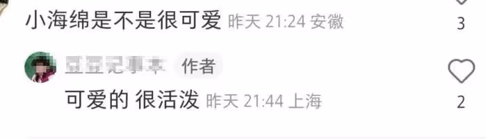 baby帶娃逛街被偶遇，6歲小海綿身高超過媽媽腰間，被贊活潑可愛