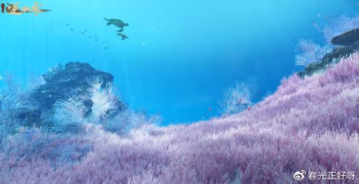 絕美!變身水母和深海生物零距離接觸5分鐘,我窒息了
