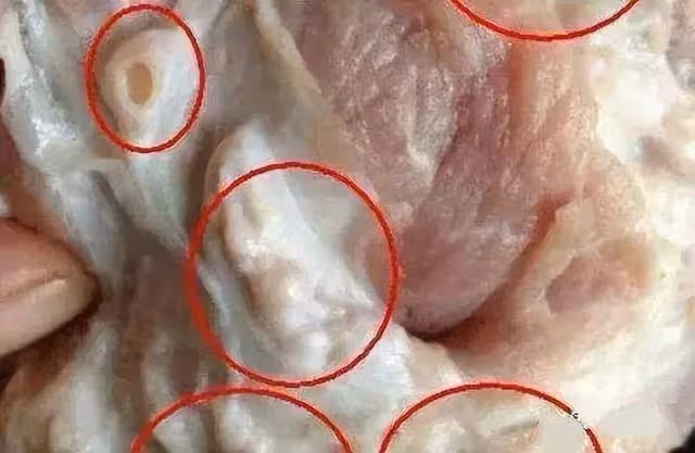 豬身上的8個部位,醫生建議少吃,大腸排最後,榜首很多人愛吃