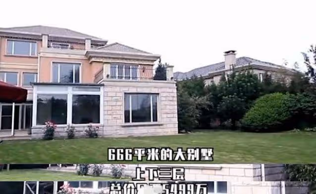 曝李湘身家5000億,王詩齡一年安保費10億,網友:比馬雲還有錢?