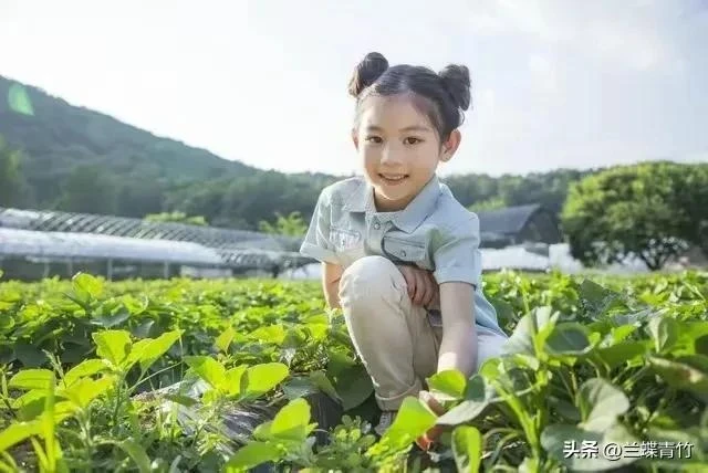 侄子結婚買房，我借給35萬，第二天，弟弟打來電話，說錢不還我了