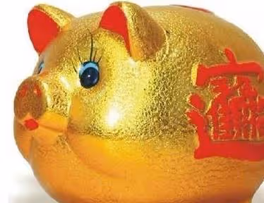 生肖豬:明天會遇到這個人,將是你人生中的大貴人!