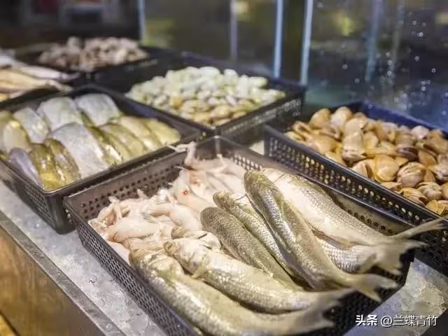 48歲的我,不再每月給母親養老金,母親跟著斷了供弟弟5000元房貸