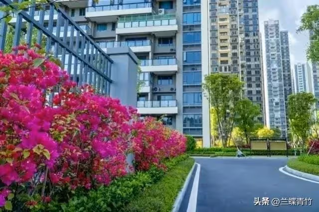 同學買房借我6萬,他拿到錢就把我拉黑,5年後同學登門,我明白了