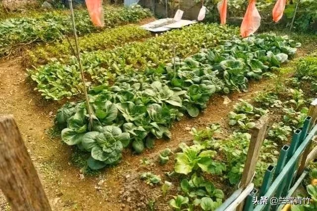 同學買房借我6萬,他拿到錢就把我拉黑,5年後同學登門,我明白了