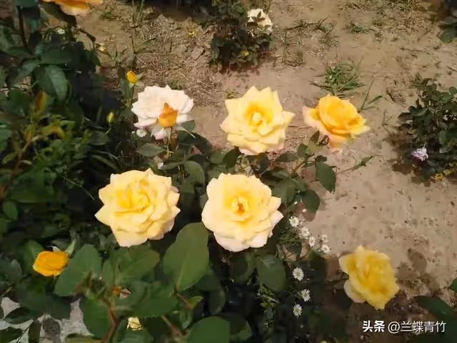 同學買房借我6萬,他拿到錢就把我拉黑,5年後同學登門,我明白了