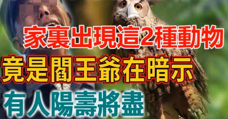 家裏出現這2種動物，竟是閻王爺在暗示，有人陽壽將盡！一定要小心了！