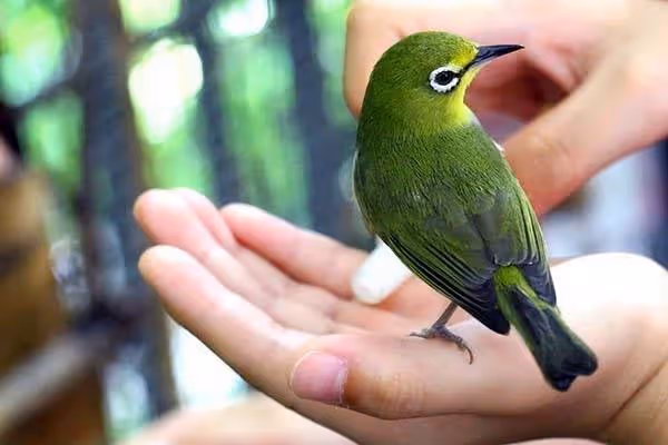 家裏出現這2種動物,竟是閻王爺在暗示,有人陽壽將盡!一定要小心了!