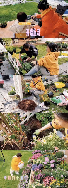 苗苗被曝早產誕下三胎女兒,做臀位手術已出院,孩子疑似仍在醫院