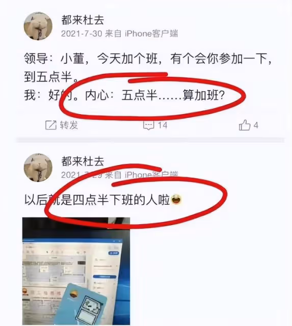 董小姐不忍了:開始逐個維權反擊,攝影師小米怕擔責銷聲匿跡!