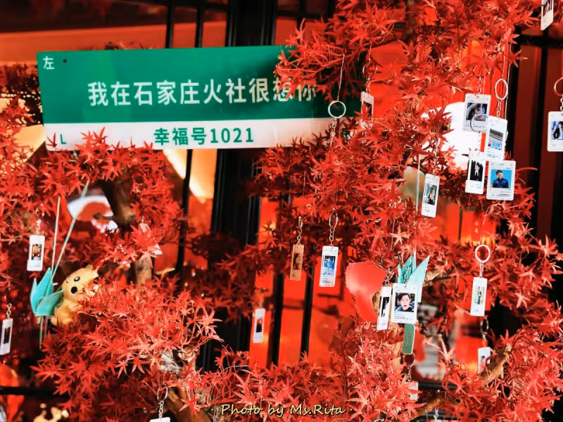 鄧倫610齣道紀念日，火社又一次被震撼了！
