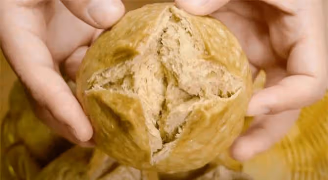 紅糖開花饅頭做法,掌握這個小訣竅,保證個個開花,方法超簡單~