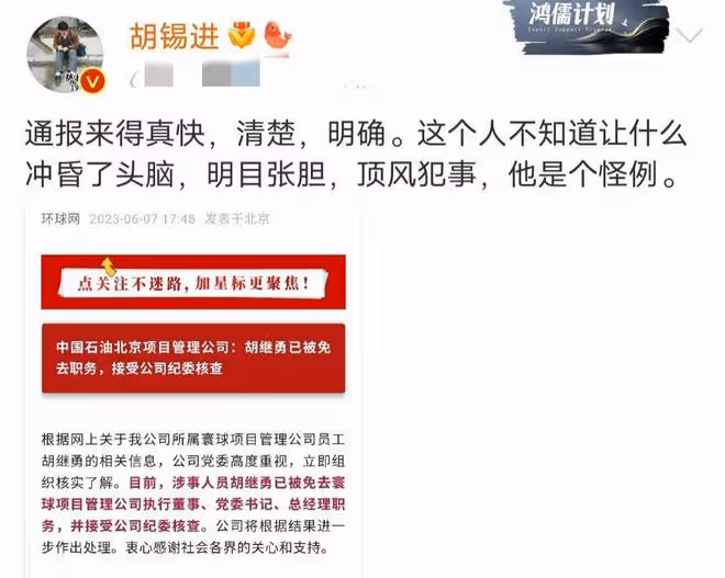 胡錫進說出胡某勇問題所在引熱議,後幫董某槿說話,確實言之有理