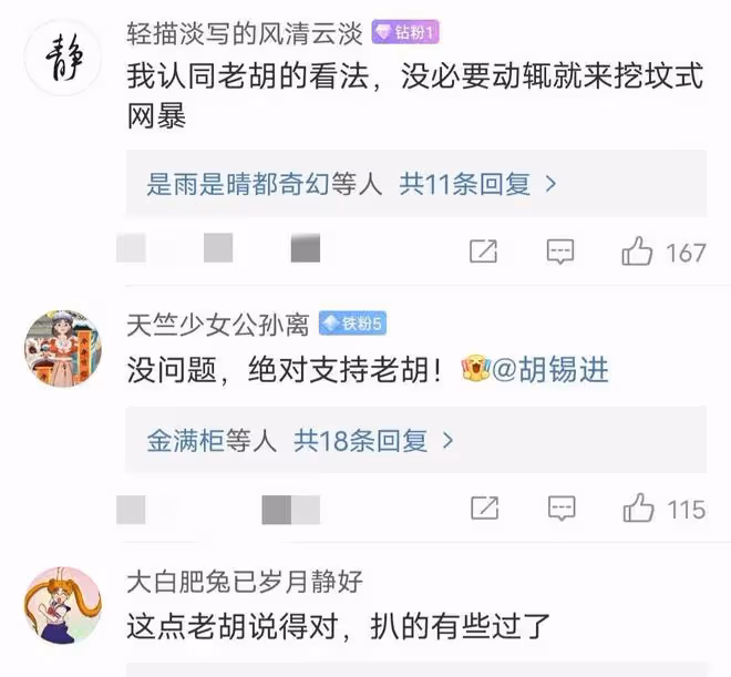 胡錫進說出胡某勇問題所在引熱議,後幫董某槿說話,確實言之有理
