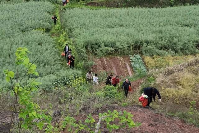 掃墓途中遇一孤墳，爺爺的一席話讓我明白生兒子的重要性