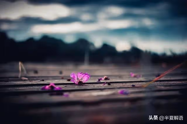 岳父住院女婿陪床照顧7天,小舅送來1萬,岳母:養老還是得靠兒子