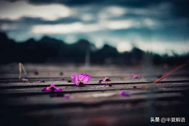 岳父住院女婿陪床照顧7天，小舅送來1萬，岳母：養老還是得靠兒子
