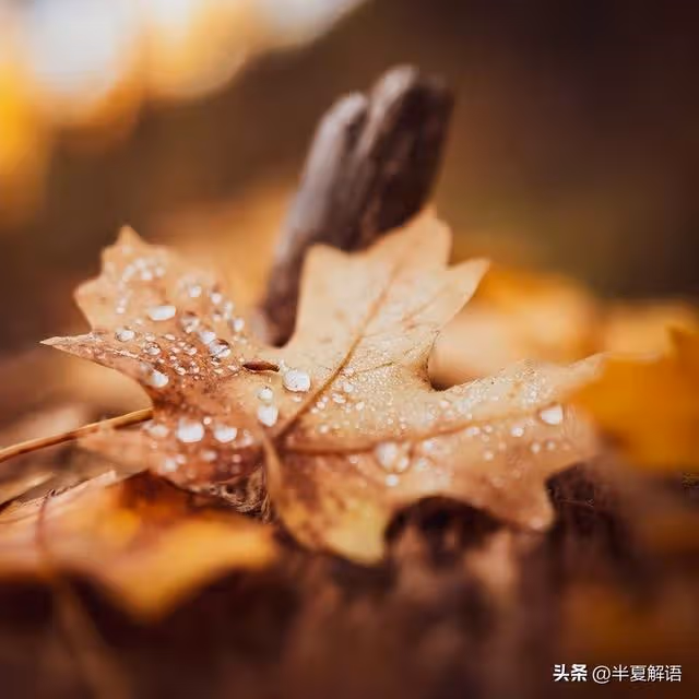 岳父住院女婿陪床照顧7天,小舅送來1萬,岳母:養老還是得靠兒子