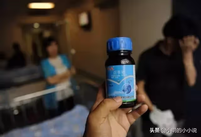 真實故事:我爸52歲帶著鄰居私奔了,我支持他,我媽狠狠地打了我