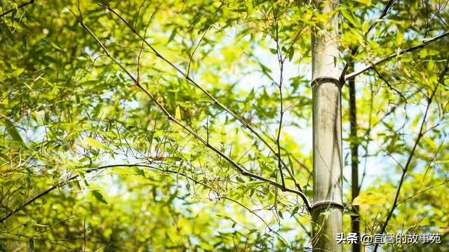我42歲，我爸30年不見我，要求我送2套房子給後媽的2個兒子