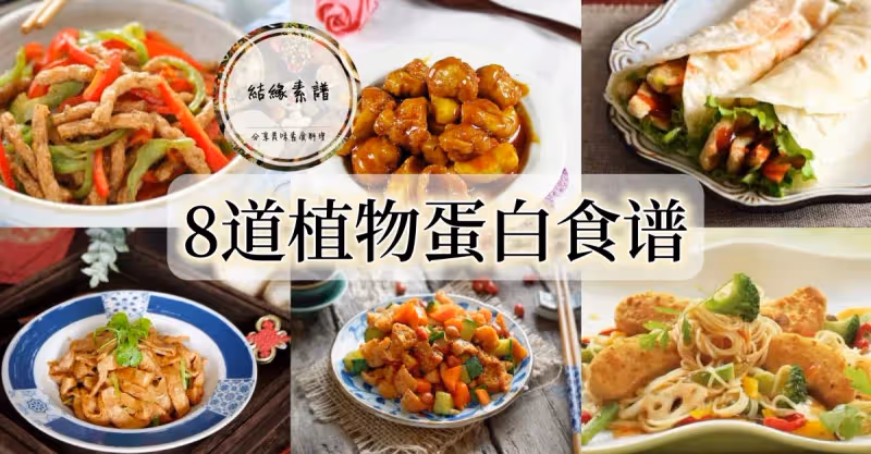 8道植物蛋白素食譜，做法簡單美味又營養