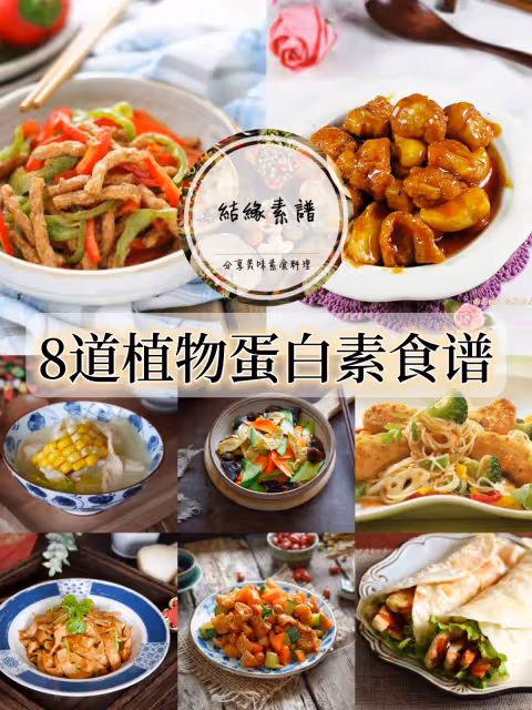 8道植物蛋白素食譜,做法簡單美味又營養