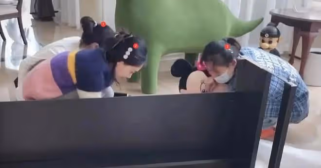 苗苗疑生三胎,攜全家與鄭愷同住,鄭愷簽名暴露心境:一言難盡