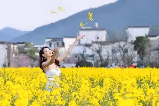 人生,因不珍惜而散
