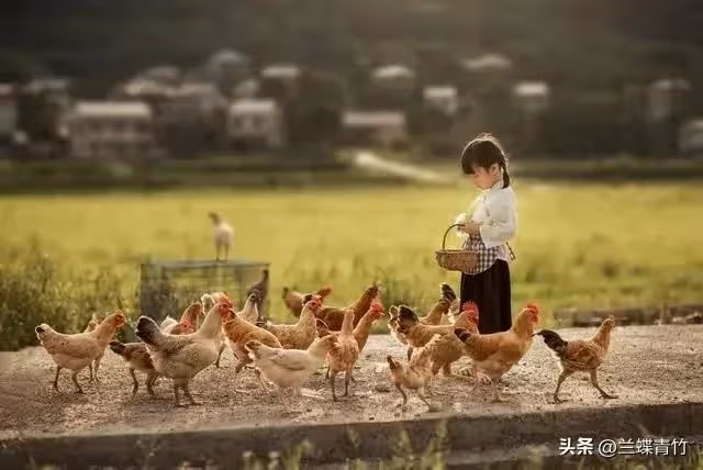 同學買房借我6萬,他拿到錢就把我拉黑,5年後同學登門,我明白了!