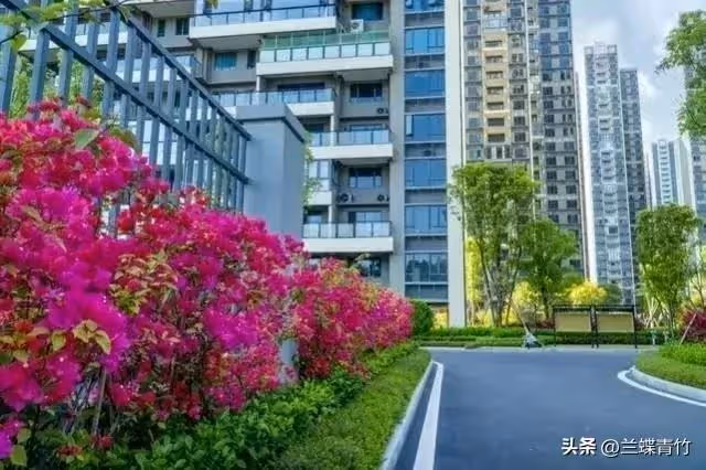 同學買房借我6萬,他拿到錢就把我拉黑,5年後同學登門,我明白了!