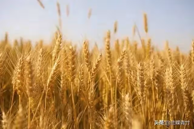 同學買房借我6萬,他拿到錢就把我拉黑,5年後同學登門,我明白了!