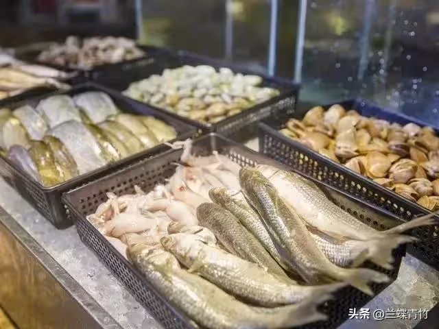 48歲的我,不再每月給母親養老金,母親跟著斷了供弟弟5000元房貸!