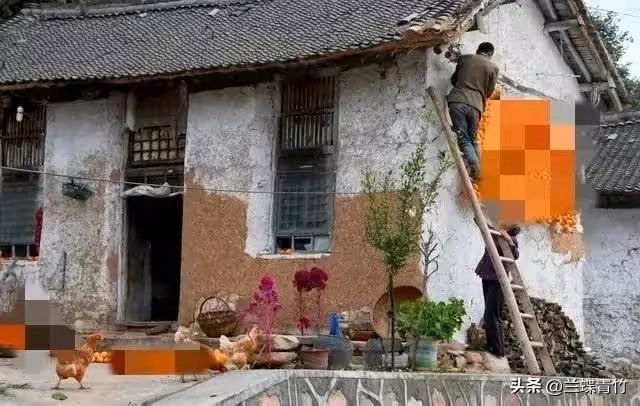 48歲的我,不再每月給母親養老金,母親跟著斷了供弟弟5000元房貸!