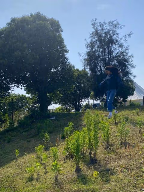 張馨予乘遊艇出海,吹海風看美景超愜意,與國旗合影好感度拉滿